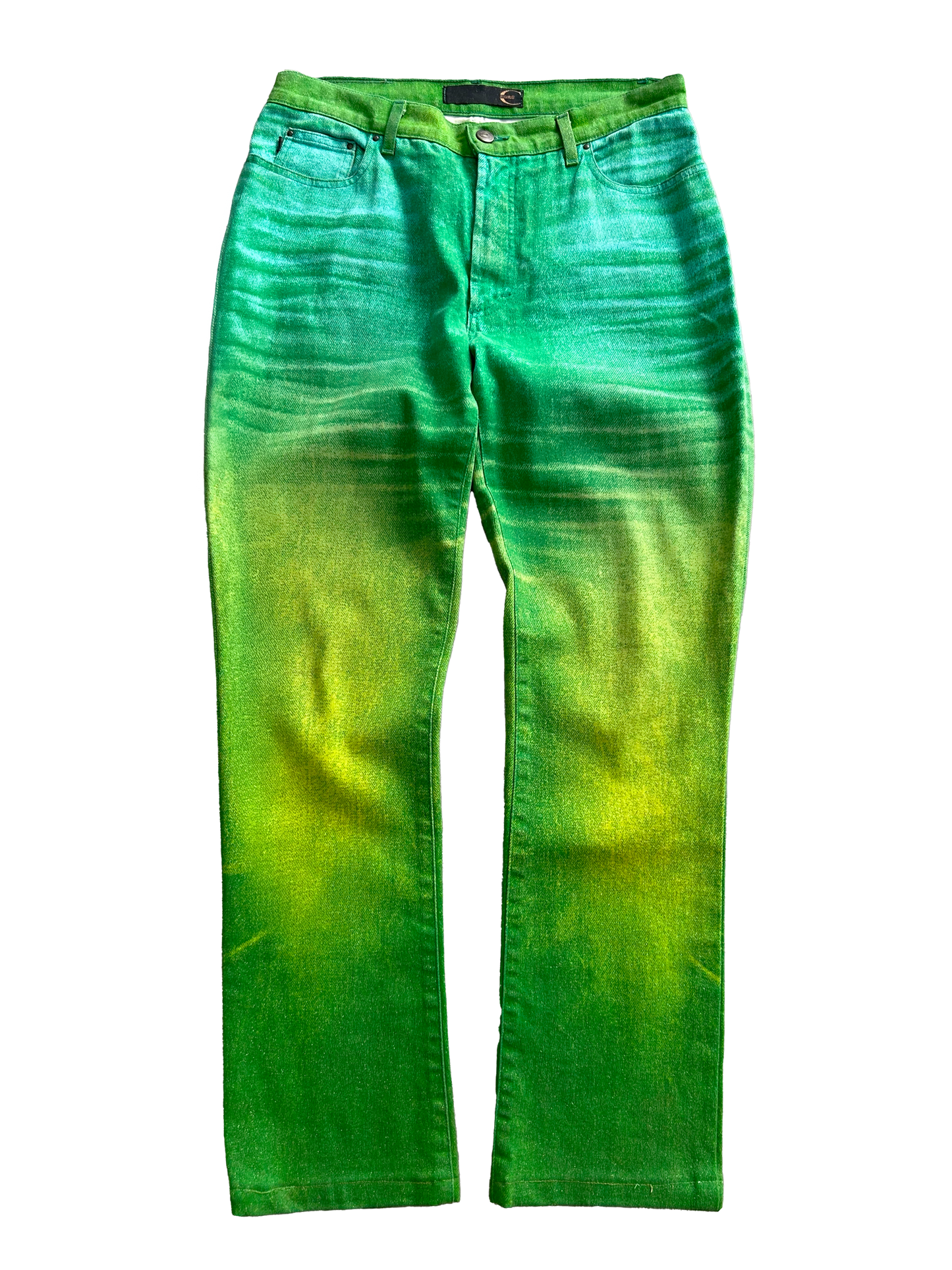 Just Cavalli Green Gradient Pants