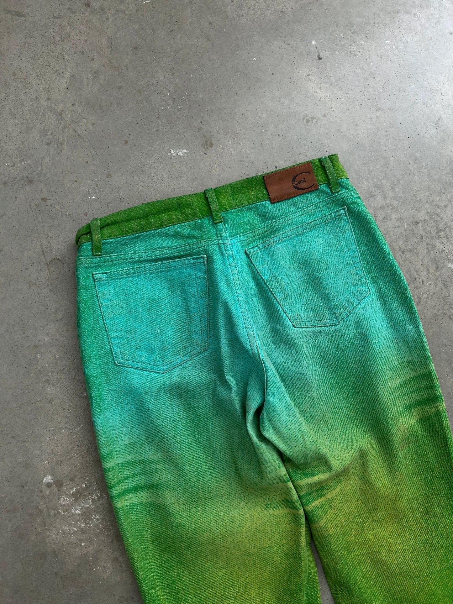 Just Cavalli Green Gradient Pants