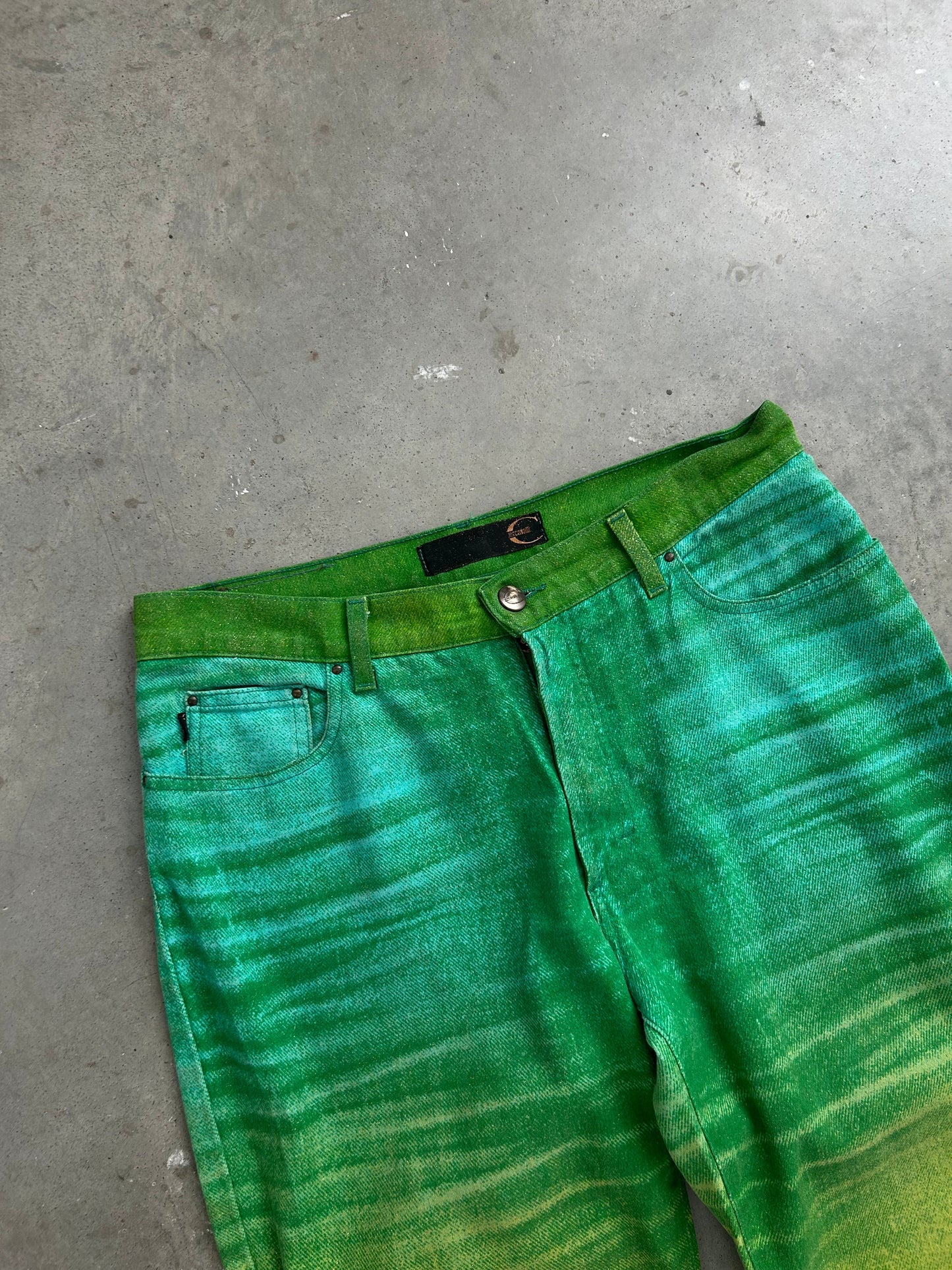 Just Cavalli Green Gradient Pants